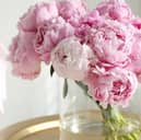 Treat yourself to a beautiful bouquet of Peonies from Appleyard - 30% off with this exclusive code