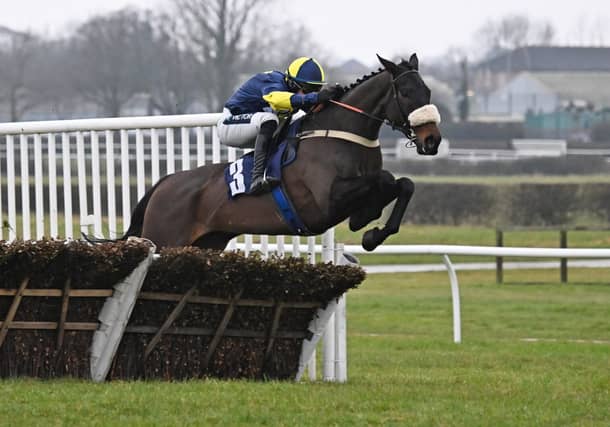 National Hunt performer Wendigo is trained by Grade 1-winning trainer Jamie Snowden.