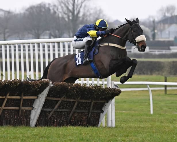 National Hunt performer Wendigo is trained by Grade 1-winning trainer Jamie Snowden.