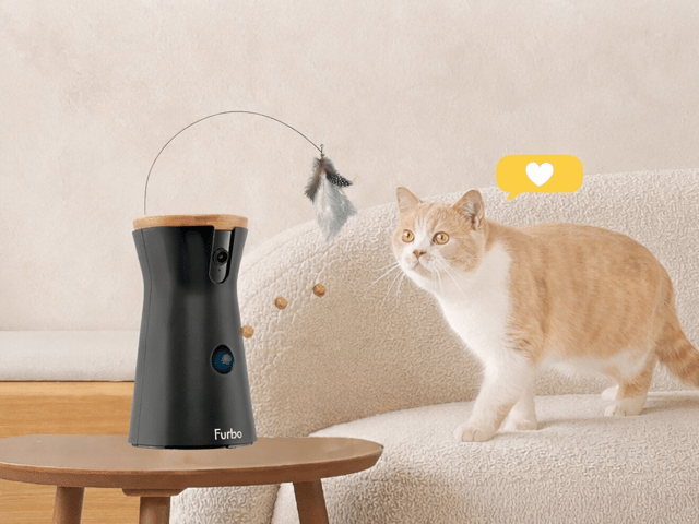 Furbo's cameras are clever enough to monitor the health and wellbeing of your pets - at the same time as letting you play with them remotely