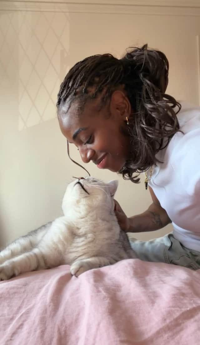 Some cats ignore owners as they prefer to do their own thing.