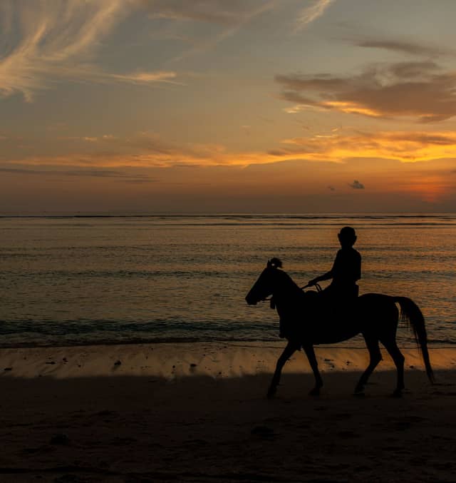More than half believe the contribution of working animals is often overlooked