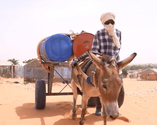 Donkeys like Lagdaf haul 400 litres of water to provide water for their community