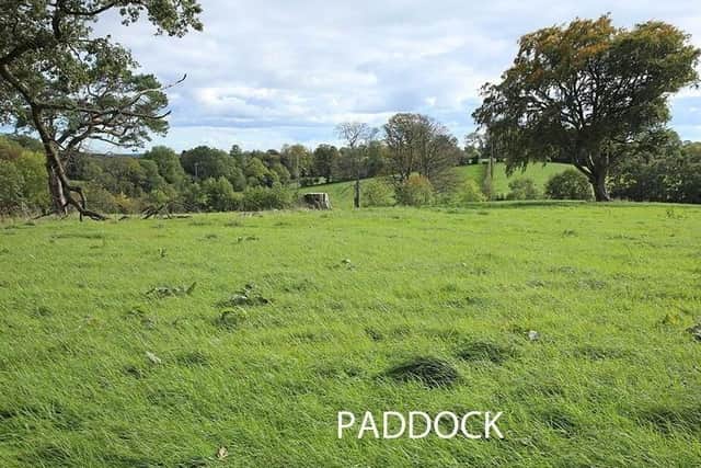 The paddock