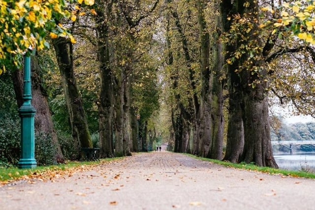 Take a walk around Avenham & Miller Parks in Preston - located in the heart of the city centre. The parks are connected by beautiful and scenic paths, creating one large and diverse park.