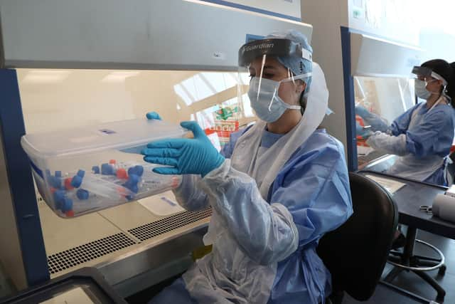 Live samples in test tubes are held in a container