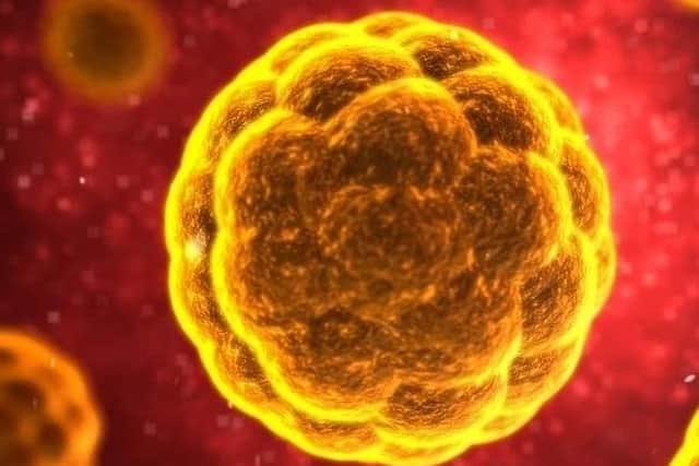 Coronavirus