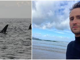 Ryan (right) at Culdaff, and on left, Orcas in Lough Swilly in 2012.