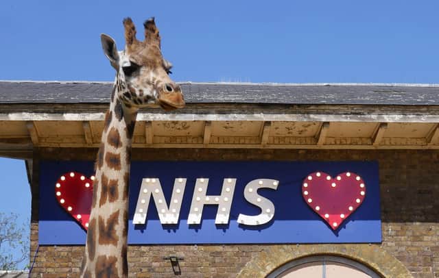 Love NHS sign in the Giraffe House at London Zoo