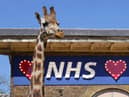 Love NHS sign in the Giraffe House at London Zoo