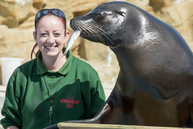 Keeper Alex is struggling to come to terms with the fact that Dominic and his sea lion family - who she's been looking after for 16 years - are due to move to another zoo