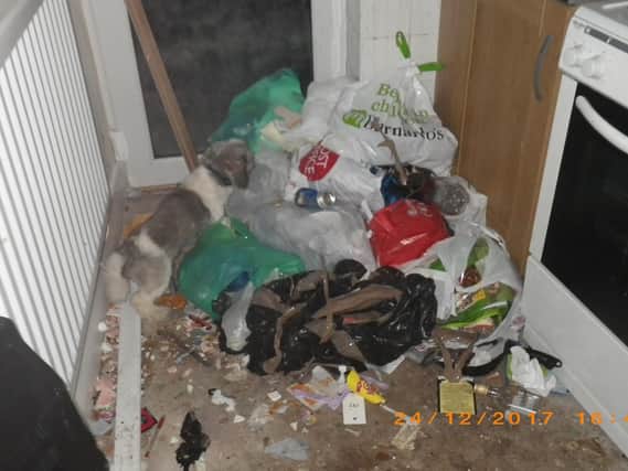 An image of the kitchen taken by animal welfare officers.
