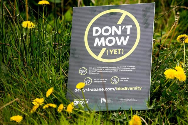 The ‘Don’t Mow Let it Grow’ initiative is part of Council’s pollinator plan and saw temporarily reduced cutting on selected sections of Council's parks and greenways network in an effort to create a more favourable habitat for bees in the summer months.