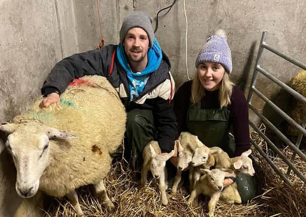 Niamh and Christopher McLaughlin with their sheep and five lambs.