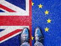 Brexit vote likened to 'rafter of Tory turkeys voting for Christmas.'