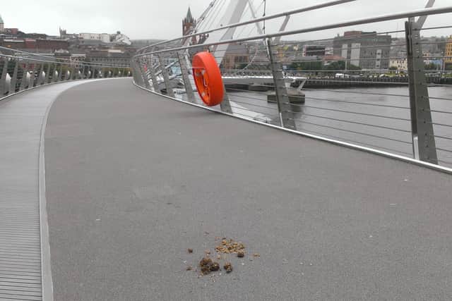 A previous episode of dog foul on the Peace Bridge.