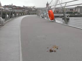 A previous episode of dog foul on the Peace Bridge.