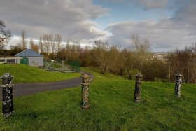 The wooded area in the vicinity of Kildrum Gardens is being looked at as a possible extension to the City Cemetery. DER2106GS – 022