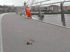 Dog waste on the Peace Bridge. A sadly familiar occurrence.