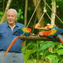 Sir David Attenborough with Scarlet macaws in Costa Rica