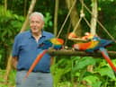 Sir David Attenborough with Scarlet macaws in Costa Rica