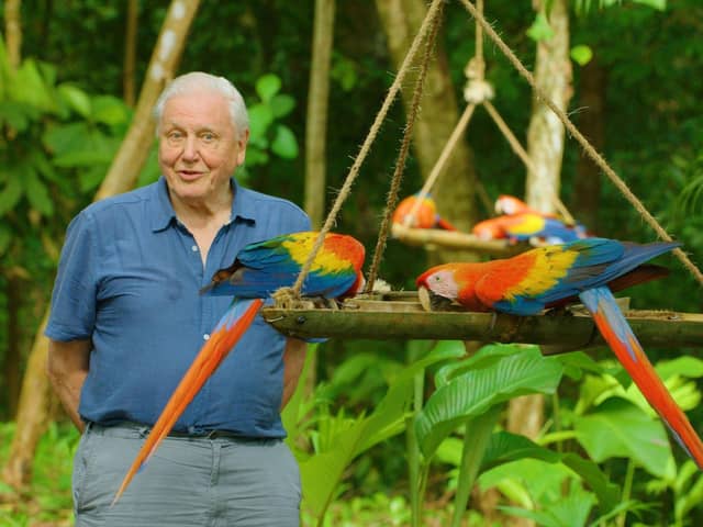Sir David Attenborough with Scarlet macaws in Costa Rica