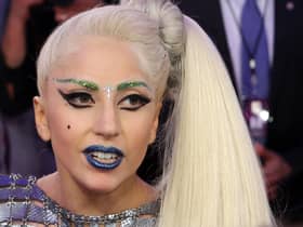 Lady Gaga was said to be ‘heartbroken’ by the theft of her dogs.