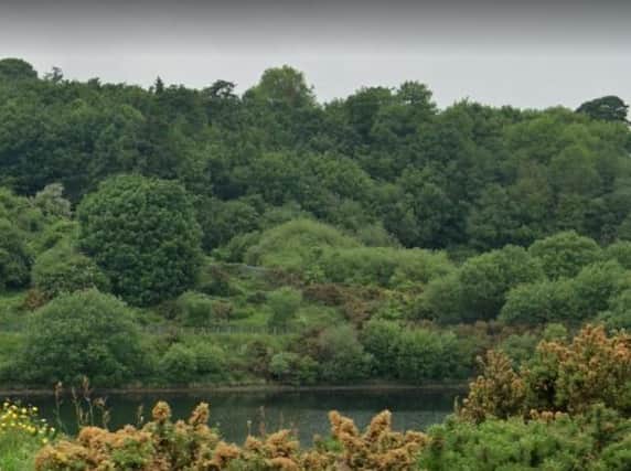 Creggan Country Park