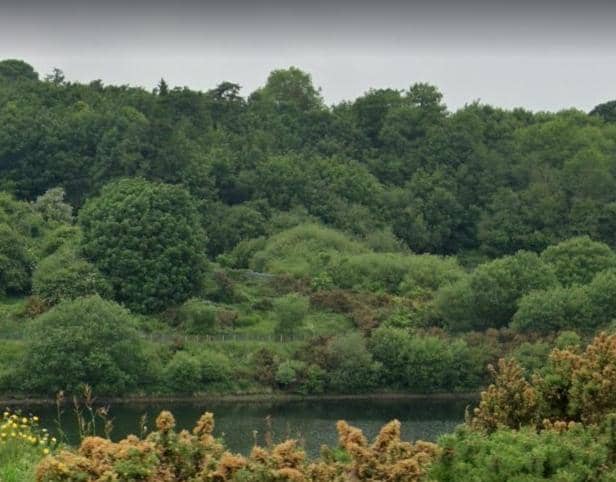 Creggan Country Park