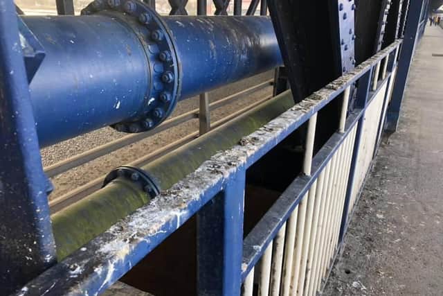 Pigeon droppings on the iron fencing of the Craigavon Bridge.