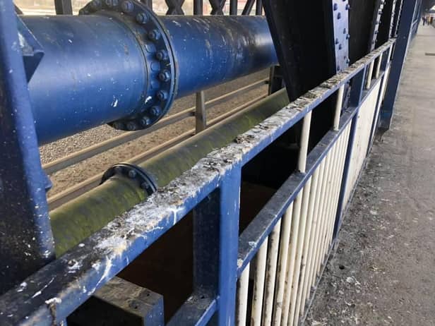 Pigeon droppings on the iron fencing of the Craigavon Bridge.