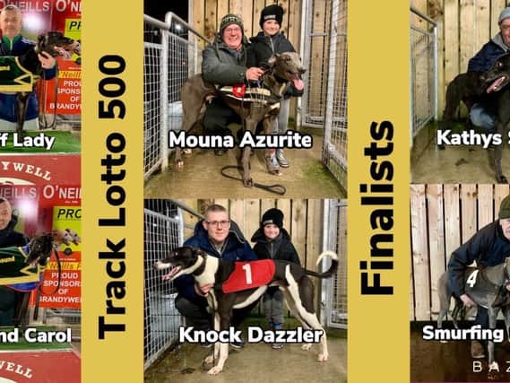 The finalists (not in trap order)  for the' Track Lotto 500' decider at Brandywell Stadium on Monday night..