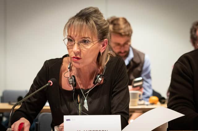 Sinn Féin MLA Martina Anderson