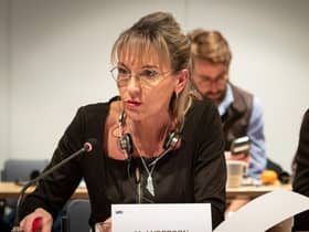 Sinn Féin MLA Martina Anderson