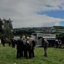 The annual Brandywell horse fair in Derry has been cancelled.
