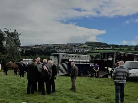 The annual Brandywell horse fair in Derry has been cancelled.