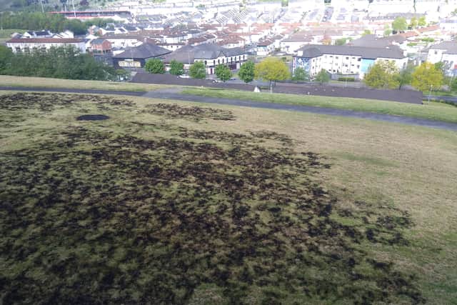 The scorched green at Fahan Street as pictured on Thursday morning.