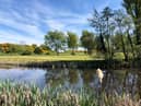 Faughan Valley Golf Club will reopen its doors to members this morning.