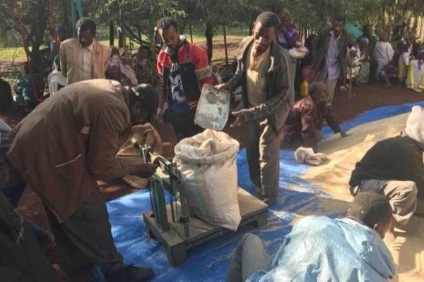 Addis Hiwot community emergency feeding programme, 2017.