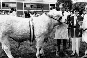 William Mulligan collects the Junior Charolais Champion prize from Marie-Paule Warnock at the Balmoral Show in 1989. The champion was owned by Jim Mulligan