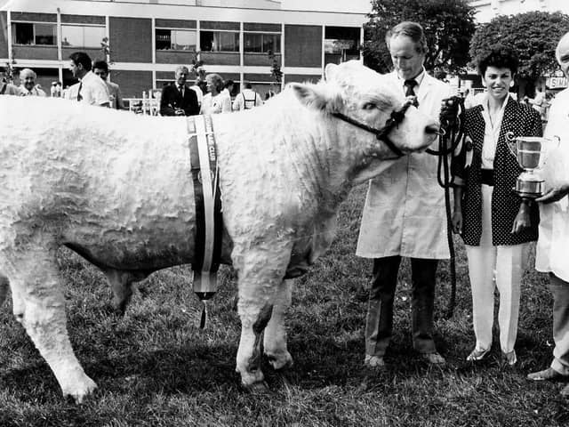 William Mulligan collects the Junior Charolais Champion prize from Marie-Paule Warnock at the Balmoral Show in 1989. The champion was owned by Jim Mulligan
