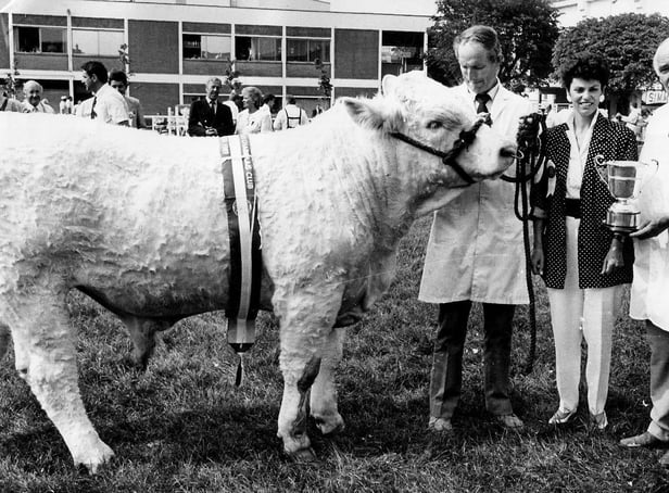 William Mulligan collects the Junior Charolais Champion prize from Marie-Paule Warnock at the Balmoral Show in 1989. The champion was owned by Jim Mulligan