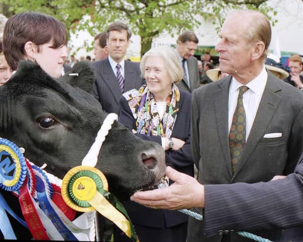 The Duke of Edinburgh inspects a Champion Bull at the 1996 Balmoral Show. Picture: News Letter archives