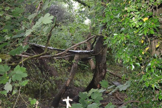 A den used by children to play in the area were the items were discovered.