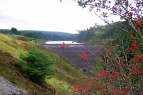 Banagher Dam