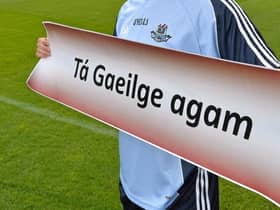 In 2018/19 the Department of Education spent 36 producing material in Irish.