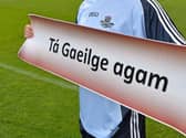In 2018/19 the Department of Education spent 36 producing material in Irish.