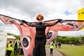 Stendhal organisers are planning that regulations around mass gatherings will have been relaxed  sufficiently to allow a socially distanced event to go ahead at Ballymully Cottage Farm.