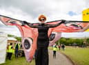 Stendhal organisers are planning that regulations around mass gatherings will have been relaxed  sufficiently to allow a socially distanced event to go ahead at Ballymully Cottage Farm.