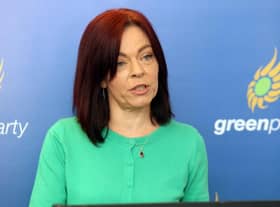 A majority of MLAs are supporting Green MLA Claire Bailey's Abortion Services (Safe Access Zones) Bill.